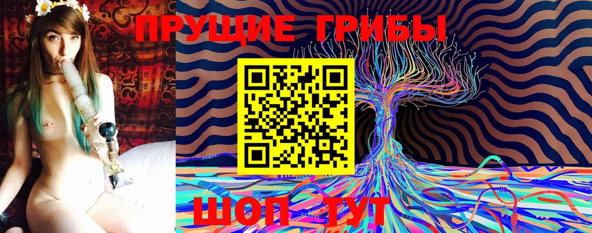 Конопля Димитровград