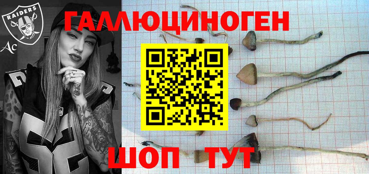 Псилоцибиновые грибы Cubensis Димитровград